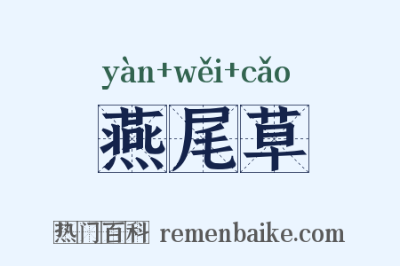 燕尾草是什么意思的图片
